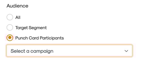 electing audience for an email broadcast: Punch Card Participants