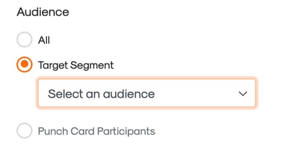 electing audience for an email broadcast: Target Segment